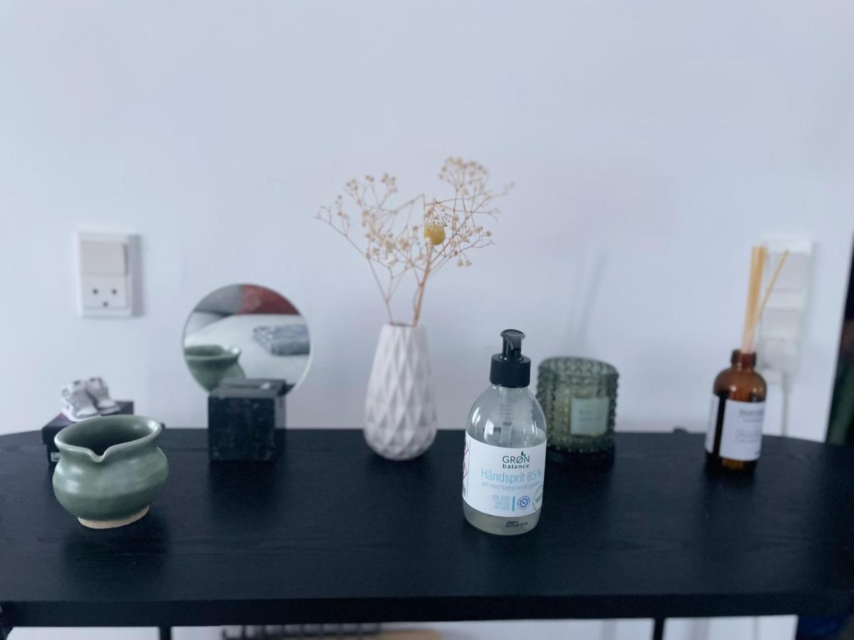 An Cosy Apartment Near Cph Airport Copenaghen Esterno foto